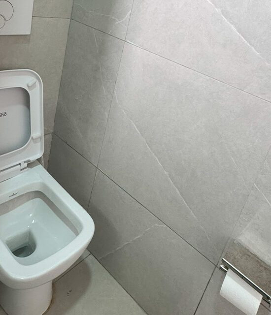 Executive studio toilet