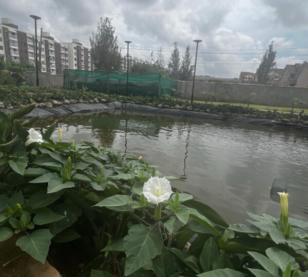 Rio Eco Garden