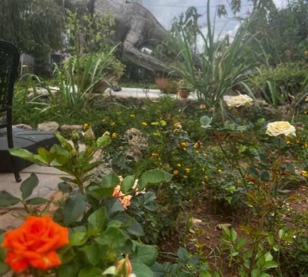 Rio Eco Garden