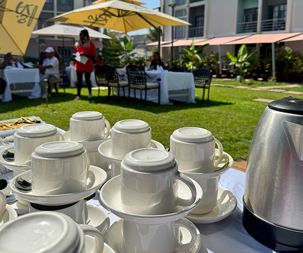 The Garden Experience